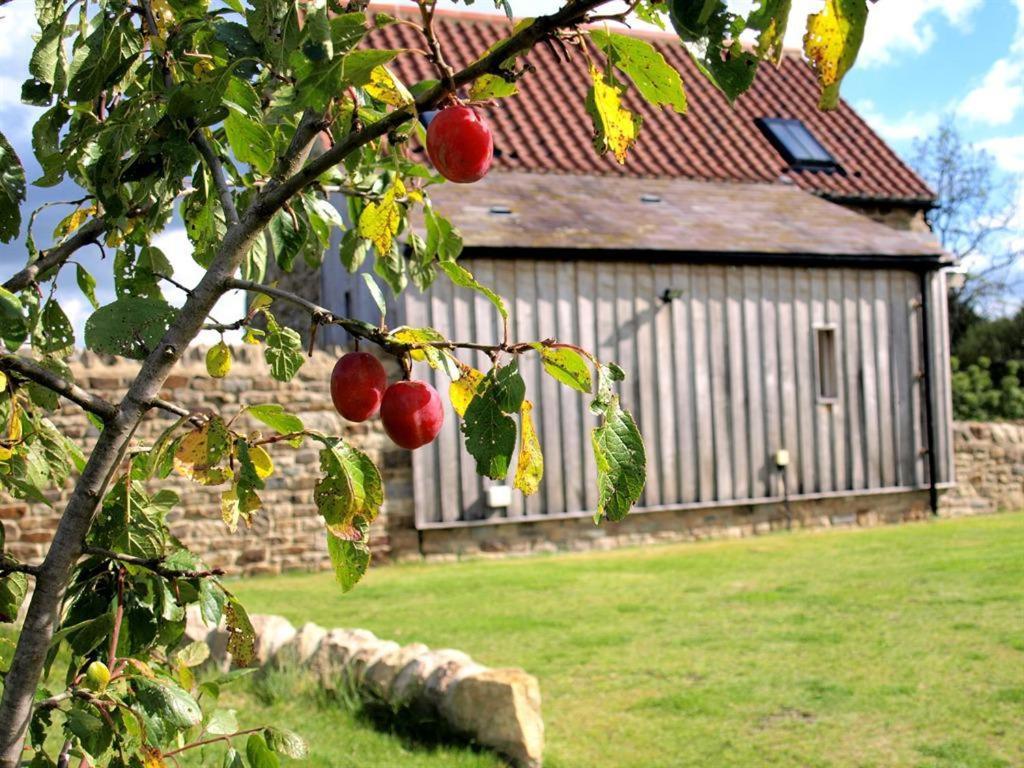 Plum Tree Cottage Witton le Wear Екстериор снимка