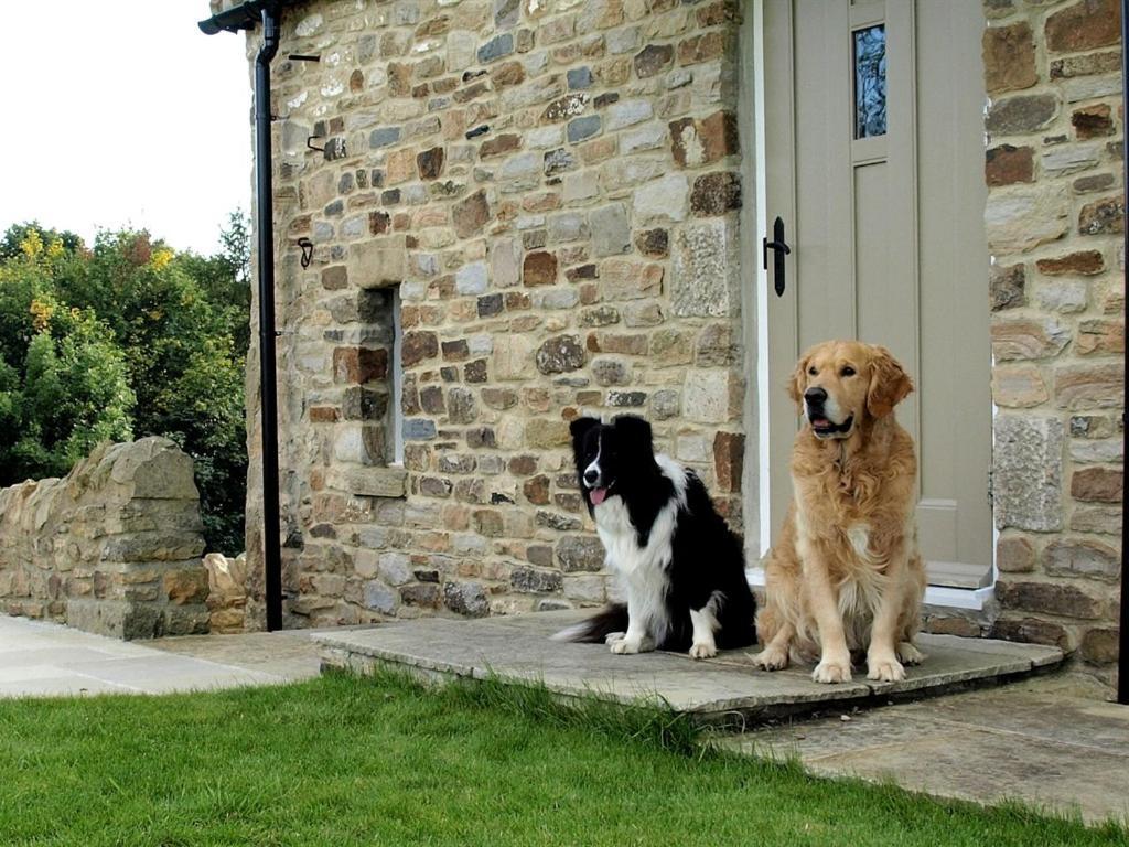 Plum Tree Cottage Witton le Wear Стая снимка
